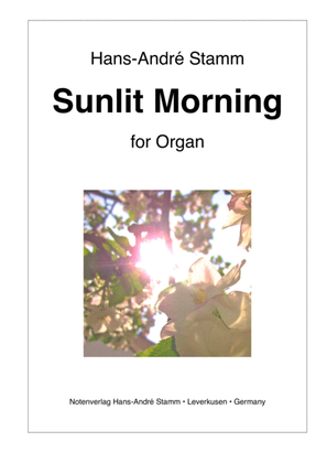 Book cover for Sunlit Morning for organ