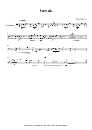 Serenade - Franz Schubert (String Bass)
