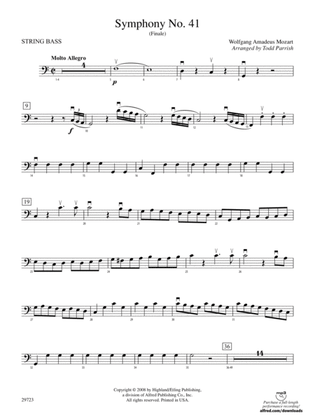 Symphony No. 41: String Bass