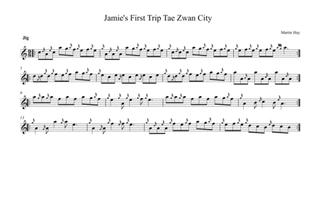 Jamie's First Trip Tae Zwan City