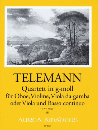 Book cover for Quartett TWV 43:g2