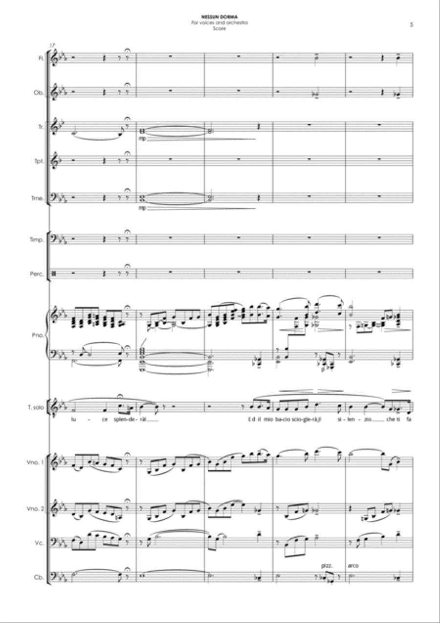 NESSUN DORMA (in Eb) - for voices & orchestra Chamber Orchestra scores gallery preview page 5