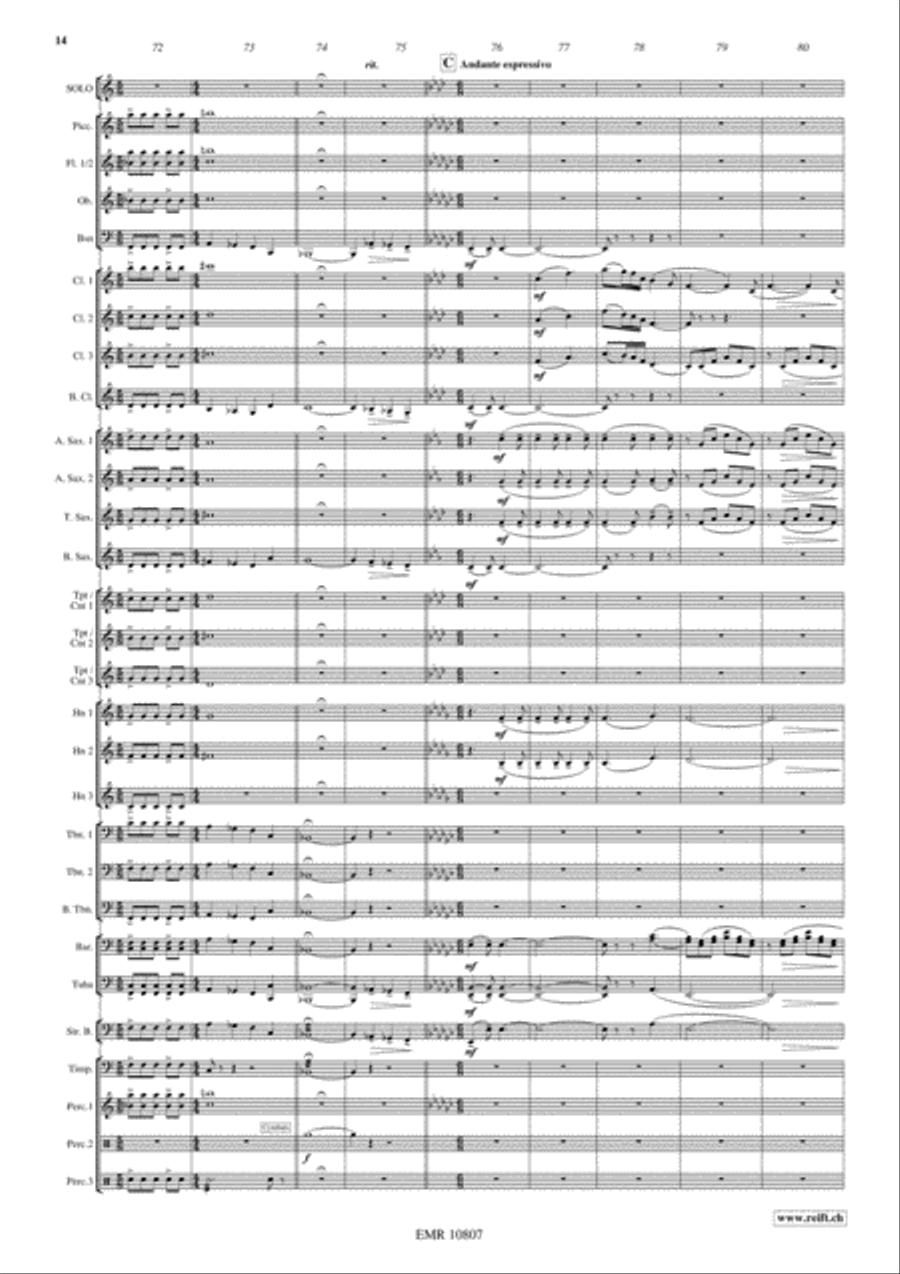 Saltatio Diabolica Saltatio Diabolica Concert Band scores gallery preview page 15