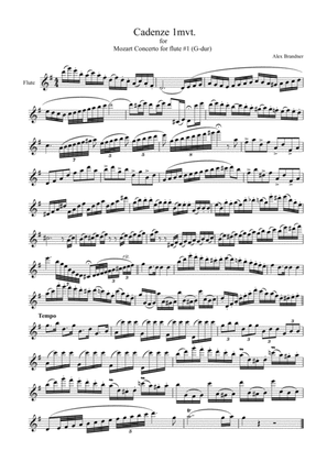 Cadenze for 1mvt Mozart Concerto for flute 1 G-dur