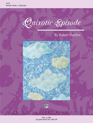 Book cover for Quixotic Episode