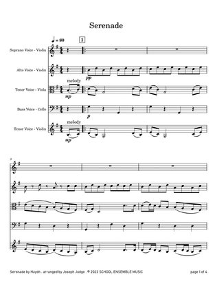 Serenade by Haydn for String Quartet in Schools