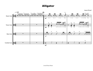 Book cover for Alligator (Drumline Cadence)