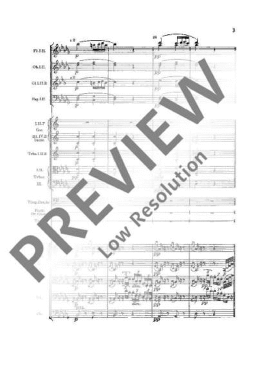 Slavonic Dances Orchestra scores gallery preview page 6