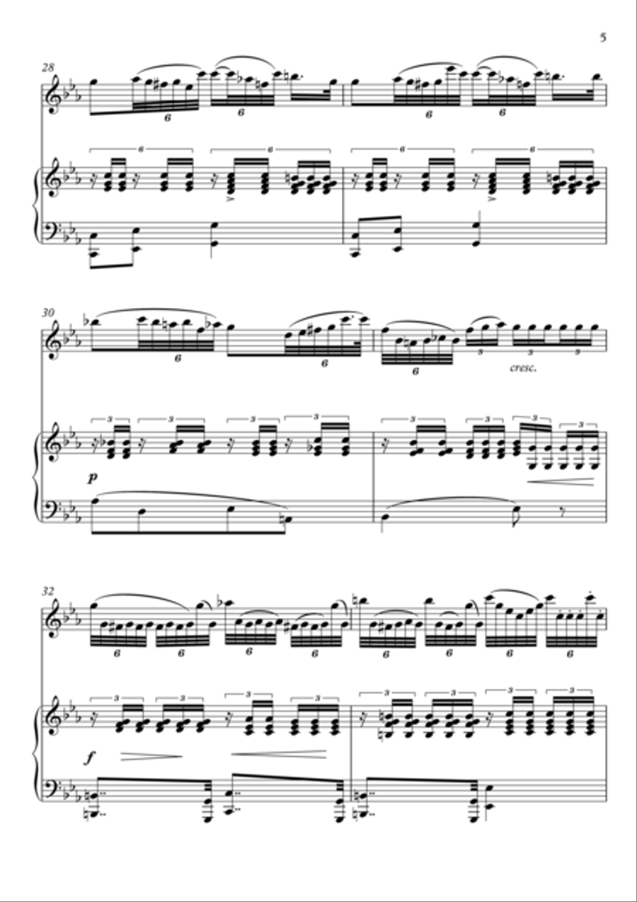 Les Plaintes Flute piano duet de Schubert Flute Duet scores gallery preview page 5