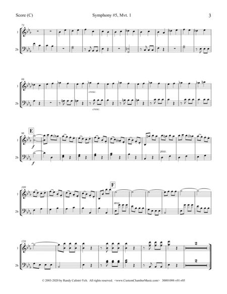 Beethoven Symphony No. 5, Op. 67, Mvt. 1 (violin/cello or violin/viola duet) image number null