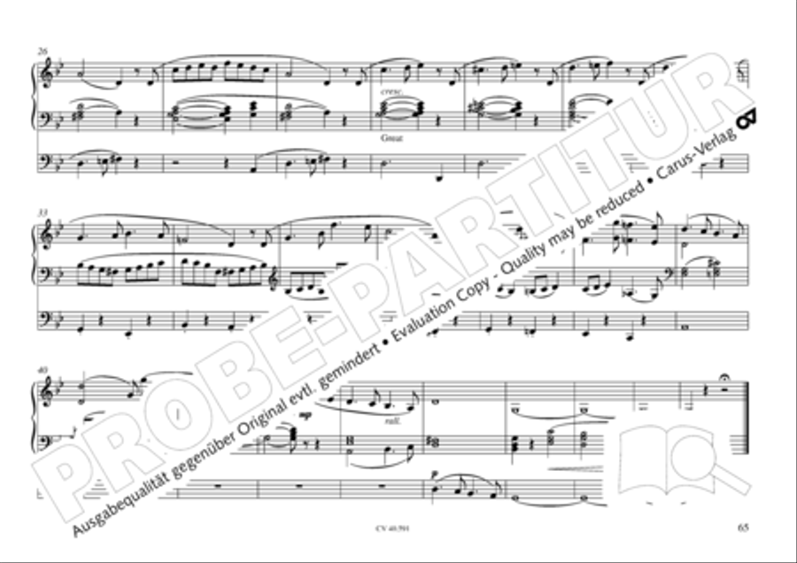 Free Organ Music from the Romantic Period, Vol. III (Freie Orgelmusik der Romantik, Band III) Organ scores gallery preview page 66