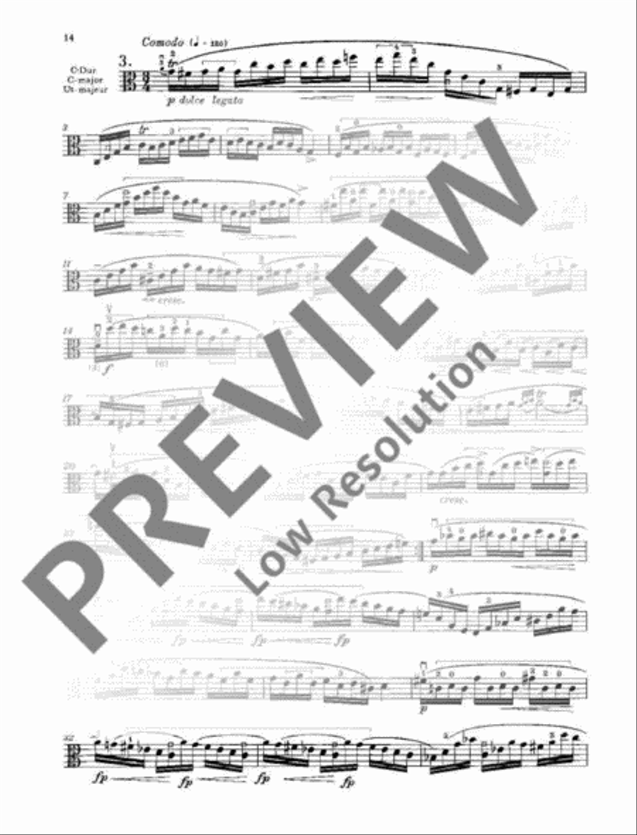 24 Caprices Viola Solo scores gallery preview page 15