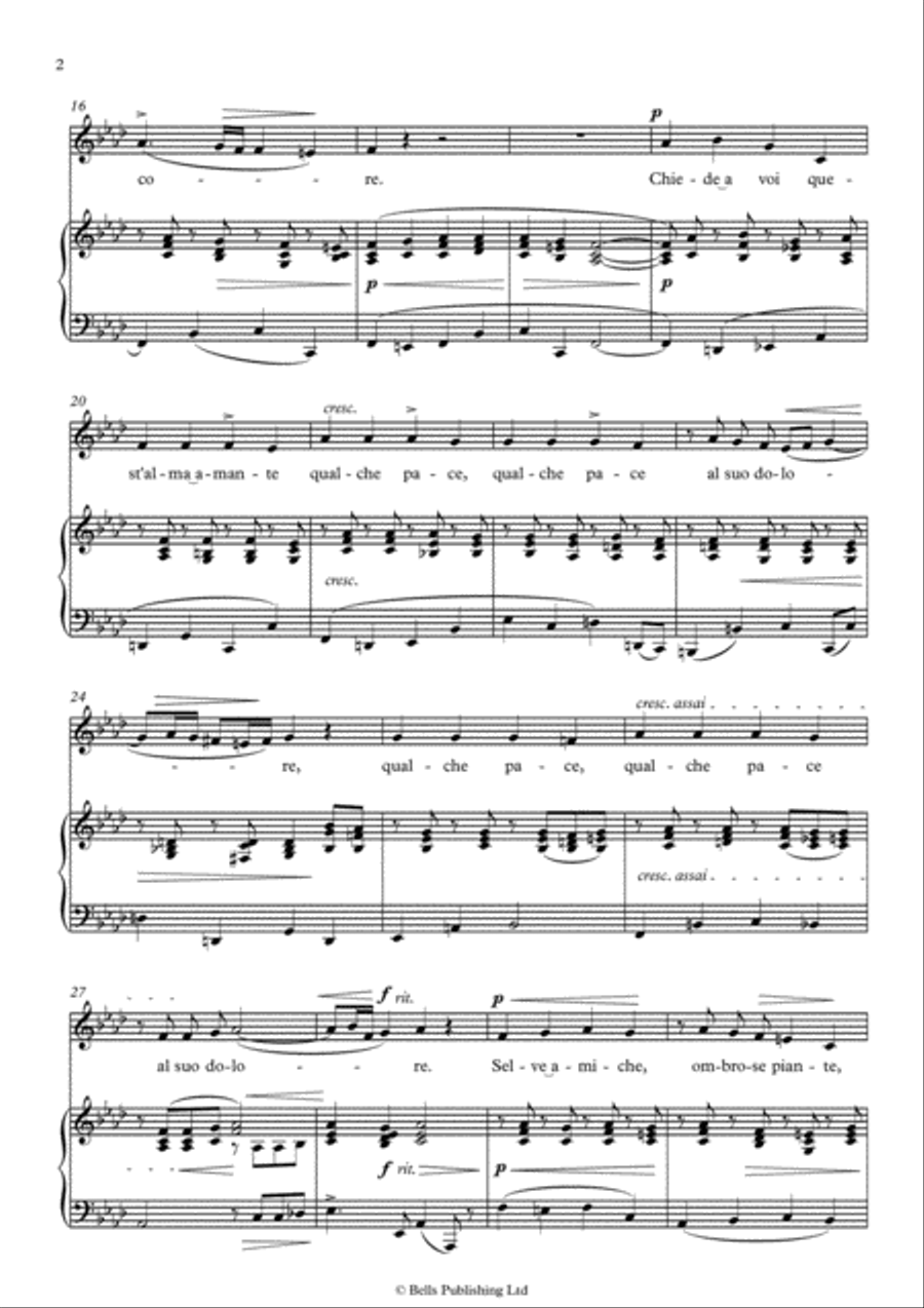 Selve amiche (F minor) Voice Solo scores gallery preview page 2