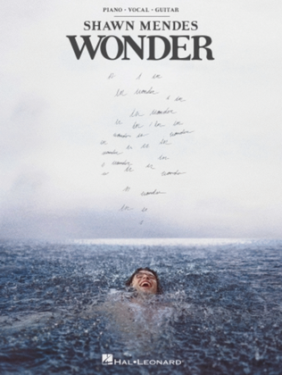Shawn Mendes – Wonder