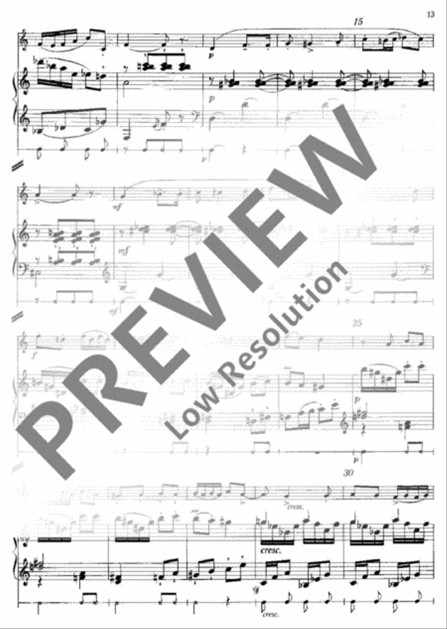 Suite Soprano Recorder scores gallery preview page 14