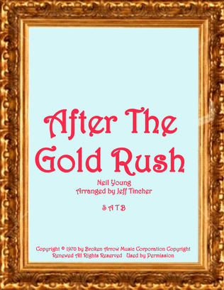 Book cover for After The Gold Rush