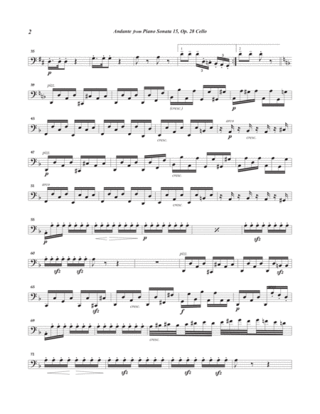Andante from Piano Sonata 15 arranged for string orchestra (Cello part)