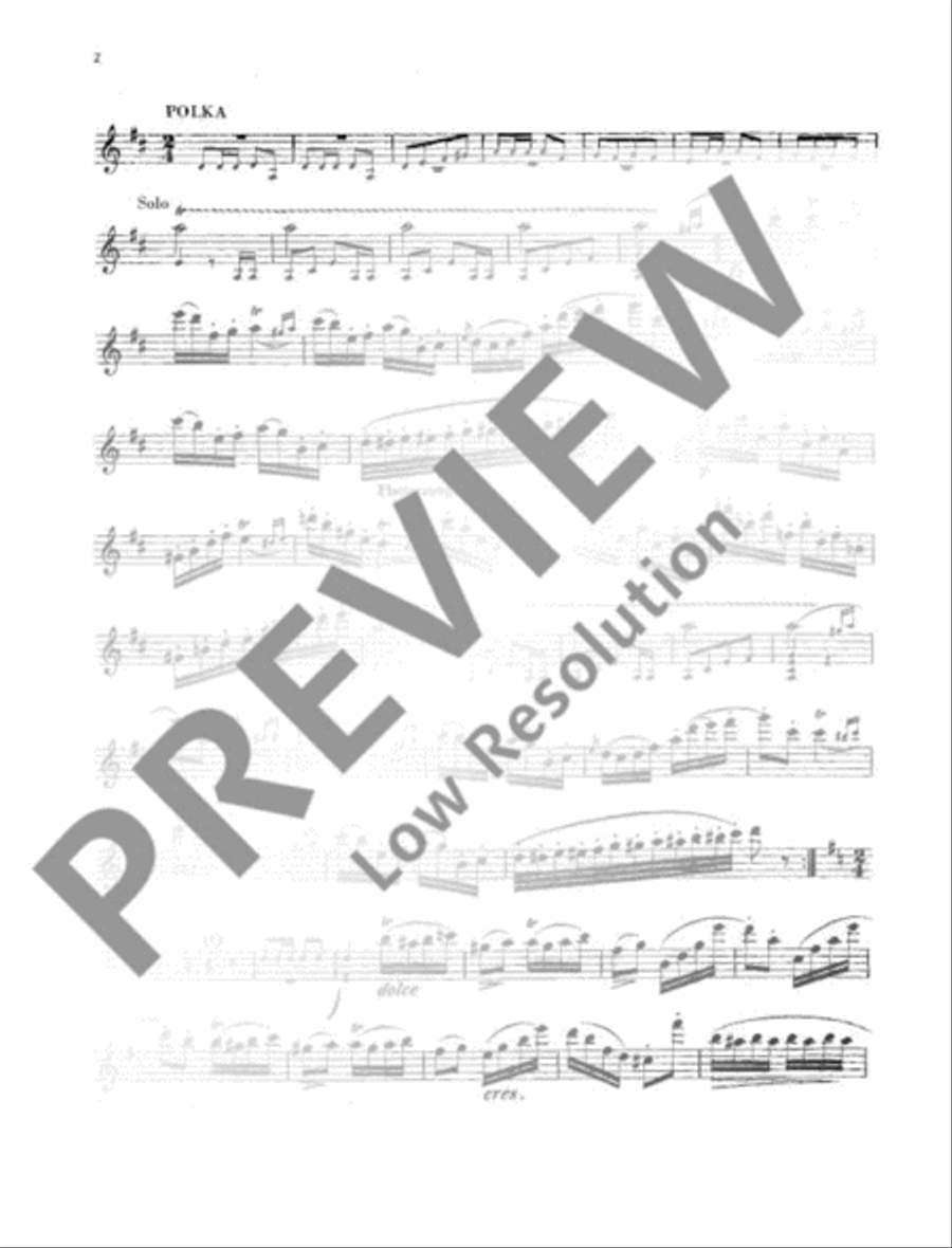 Polka de bravoure Flute Solo scores gallery preview page 12