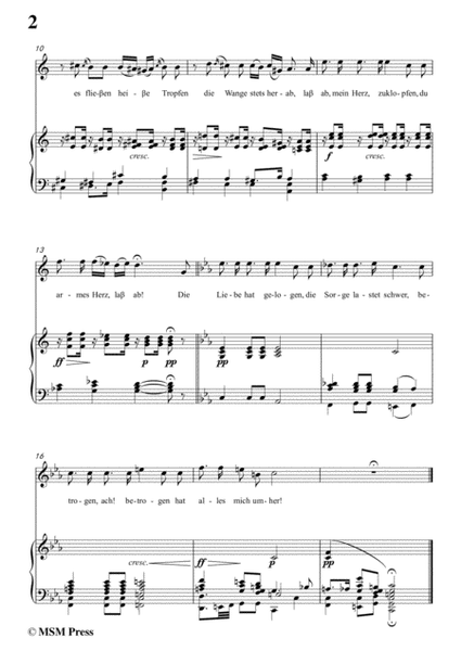 Schubert-Die Liebe hat gelogen,in c minor,Op.23,No.1,for Voice and Piano image number null