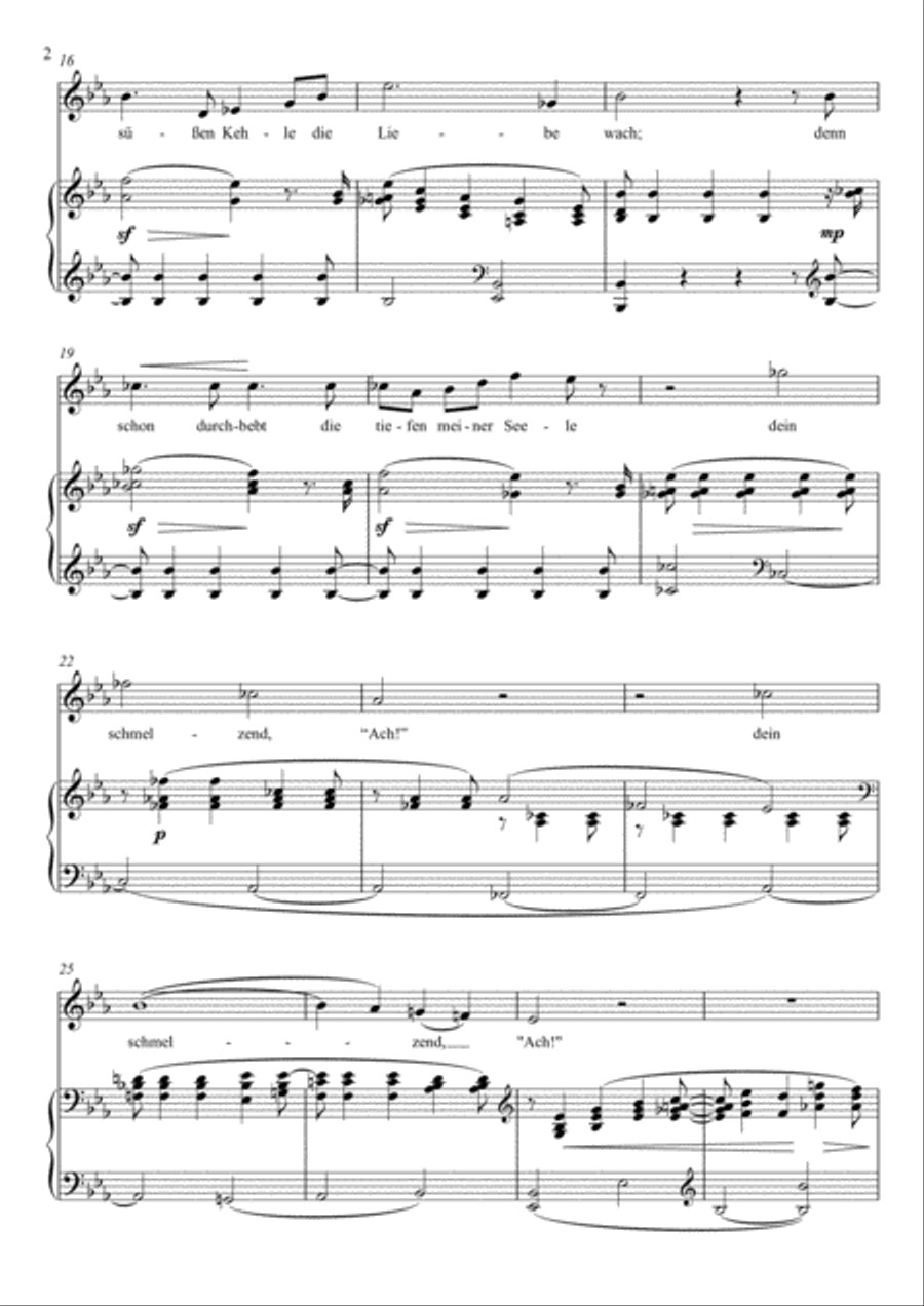 An die Nachtigall (Eb Major) Voice scores gallery preview page 3