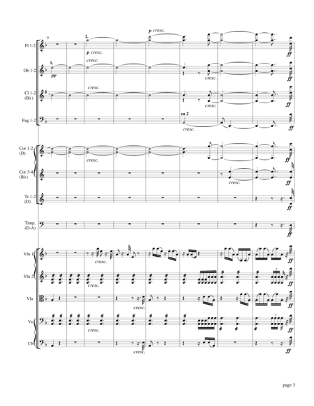 Beethoven——Symphony No.9(1st movement Orchestra score)