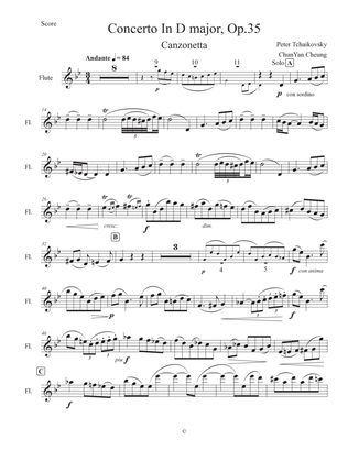 Concerto for Violin and Orchestra II - Canzonetta