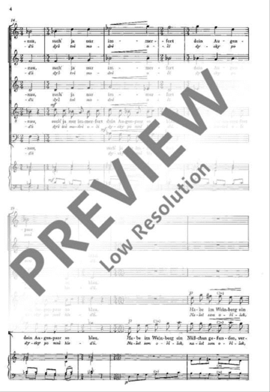 Tschechische Madrigale · České madrigaly SSATB scores gallery preview page 5