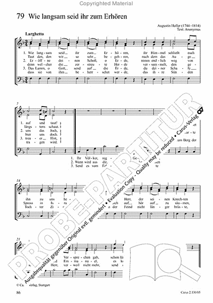 Advents- und Weihnachtslieder: Chorbuch 3stimmig. editionchor