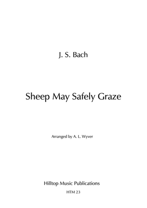 Book cover for Sheep May Safely Graze arr. flute and bassoon