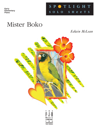 Book cover for Mister Boko