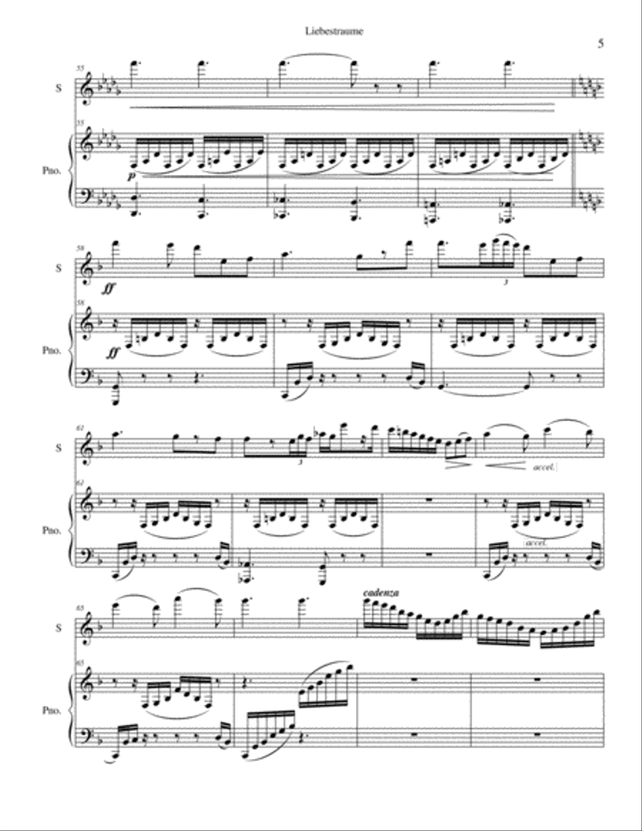 Liebestraume Flute Solo scores gallery preview page 5