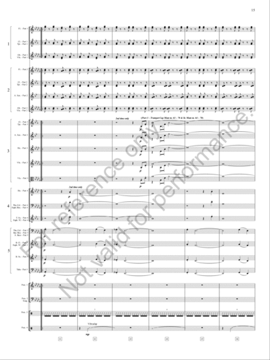 Danza Sonora Concert Band scores gallery preview page 16