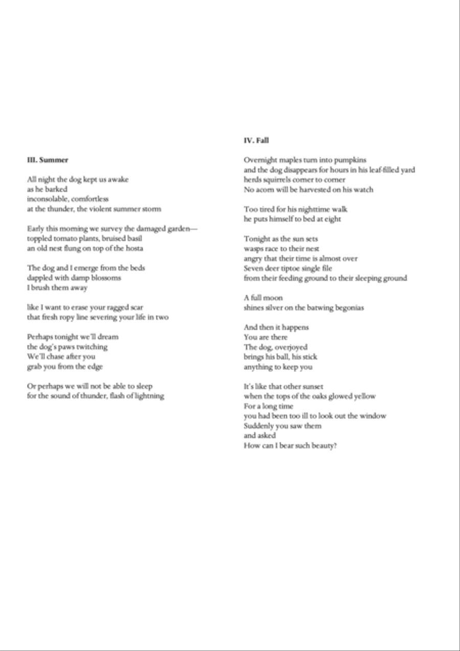 Carson Cooman : Chasing the Moon Down (2009), for mezzo-soprano, trumpet, and piano Small Ensemble scores gallery preview page 3