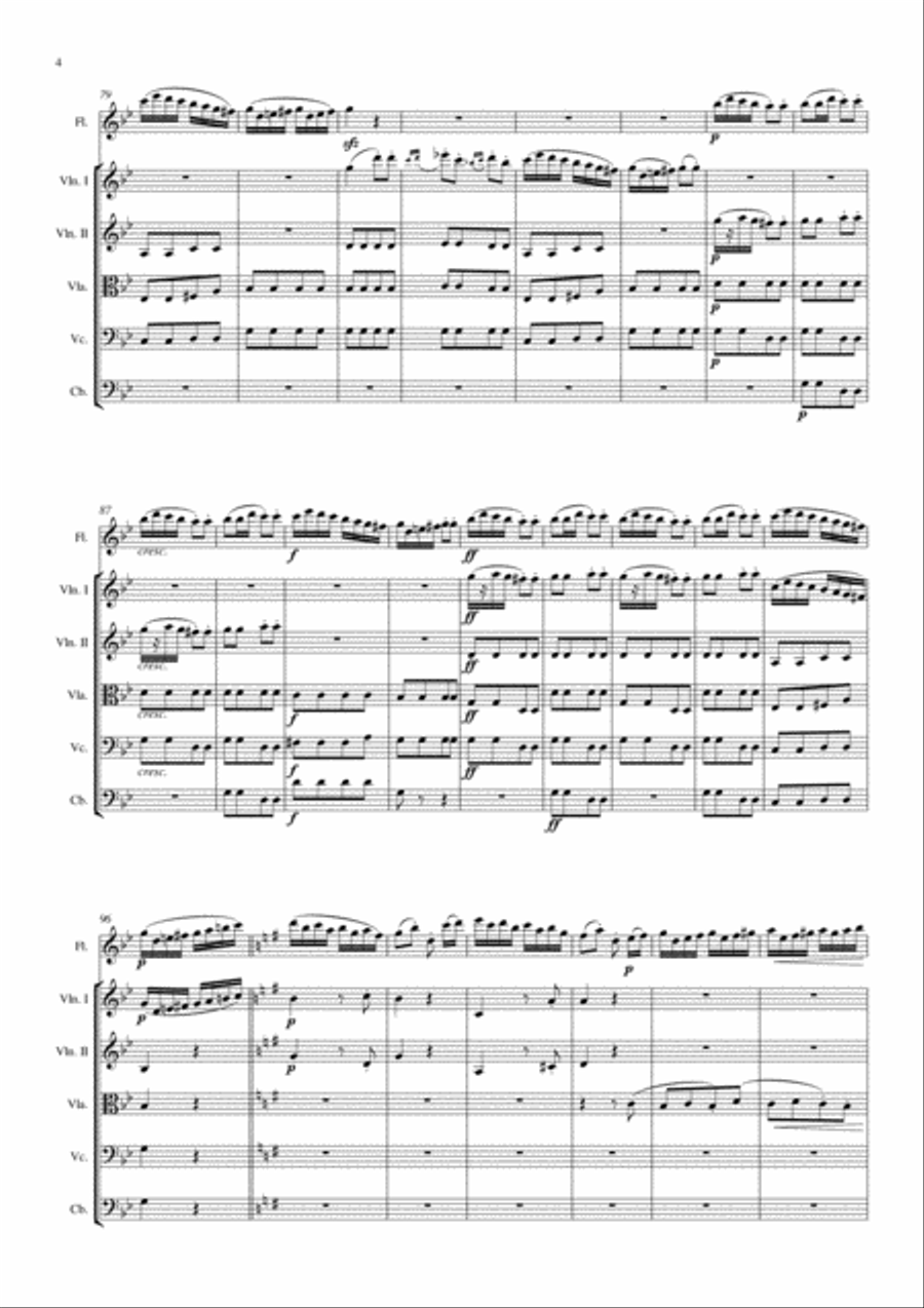 Gipsy Rondo Chamber Orchestra scores gallery preview page 4