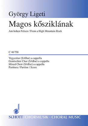 Book cover for Magos kösziklának