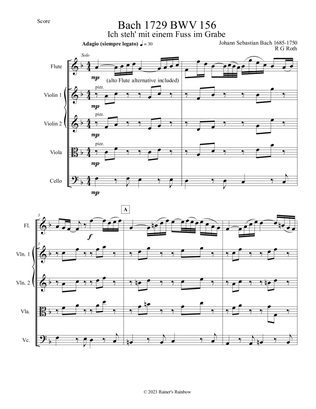 Bach 1729 BWV 156 Adagio for Solo Flute or Alto Flute Strings Parts and Score