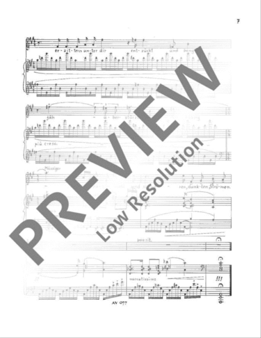 Letzter Ricarda Huch-Zyklus Soprano Voice scores gallery preview page 10