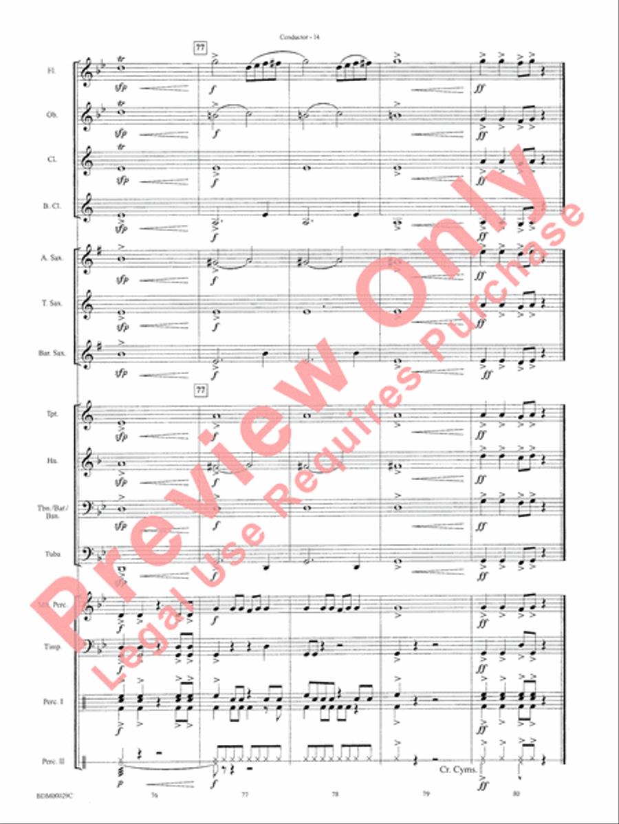 Serengeti Dreams Serengeti Dreams Concert Band scores gallery preview page 16