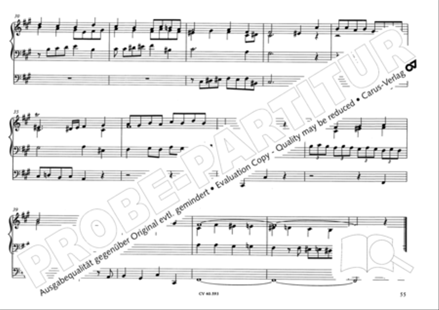 Free Organ Music from the Romantic Period, Vol. I (Freie Orgelmusik der Romantik, Band I) Organ scores gallery preview page 60