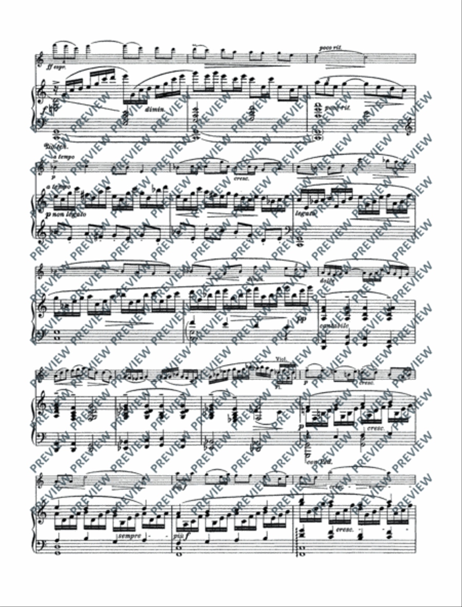 Variations on a theme by Edvard Grieg Flute Solo scores gallery preview page 20
