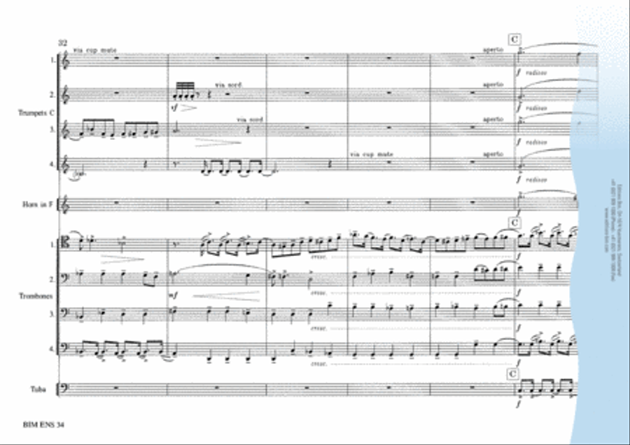 Brass Symphony Horn scores gallery preview page 13