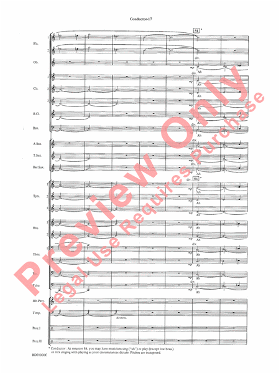 Chant Rituals Chant Rituals Concert Band scores gallery preview page 20
