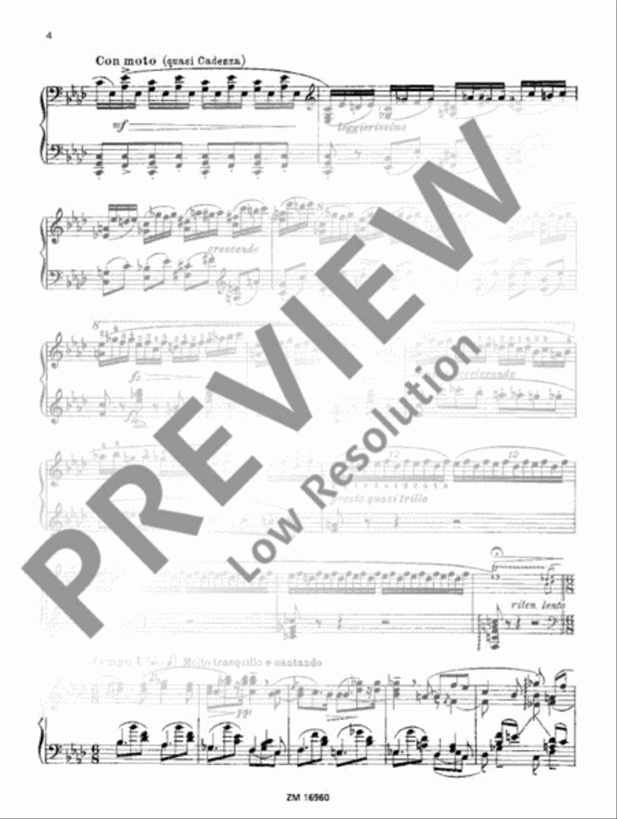 Vergessene Weisen (Forgotten Melodies) Piano Solo scores gallery preview page 5