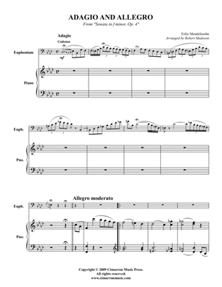 Book cover for Violin Sonata in F Min, Op. 4