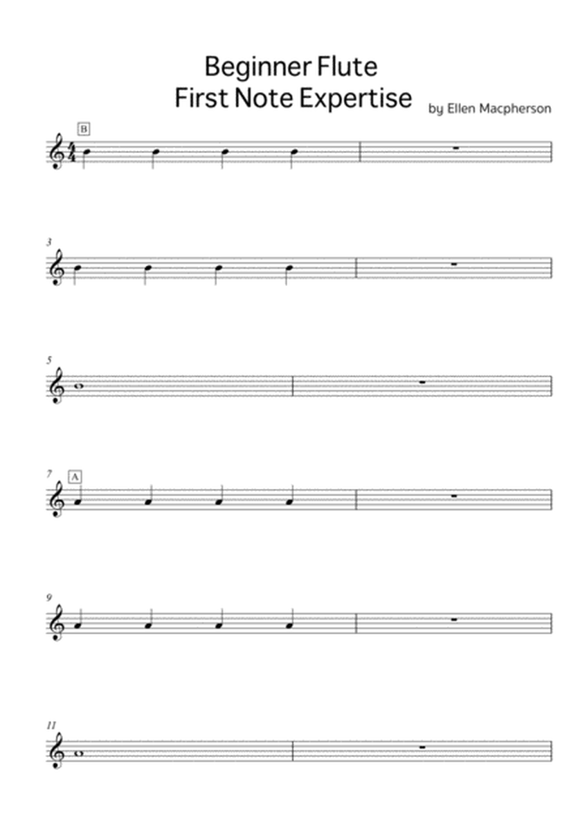 First Notes Beginner Flute image number null