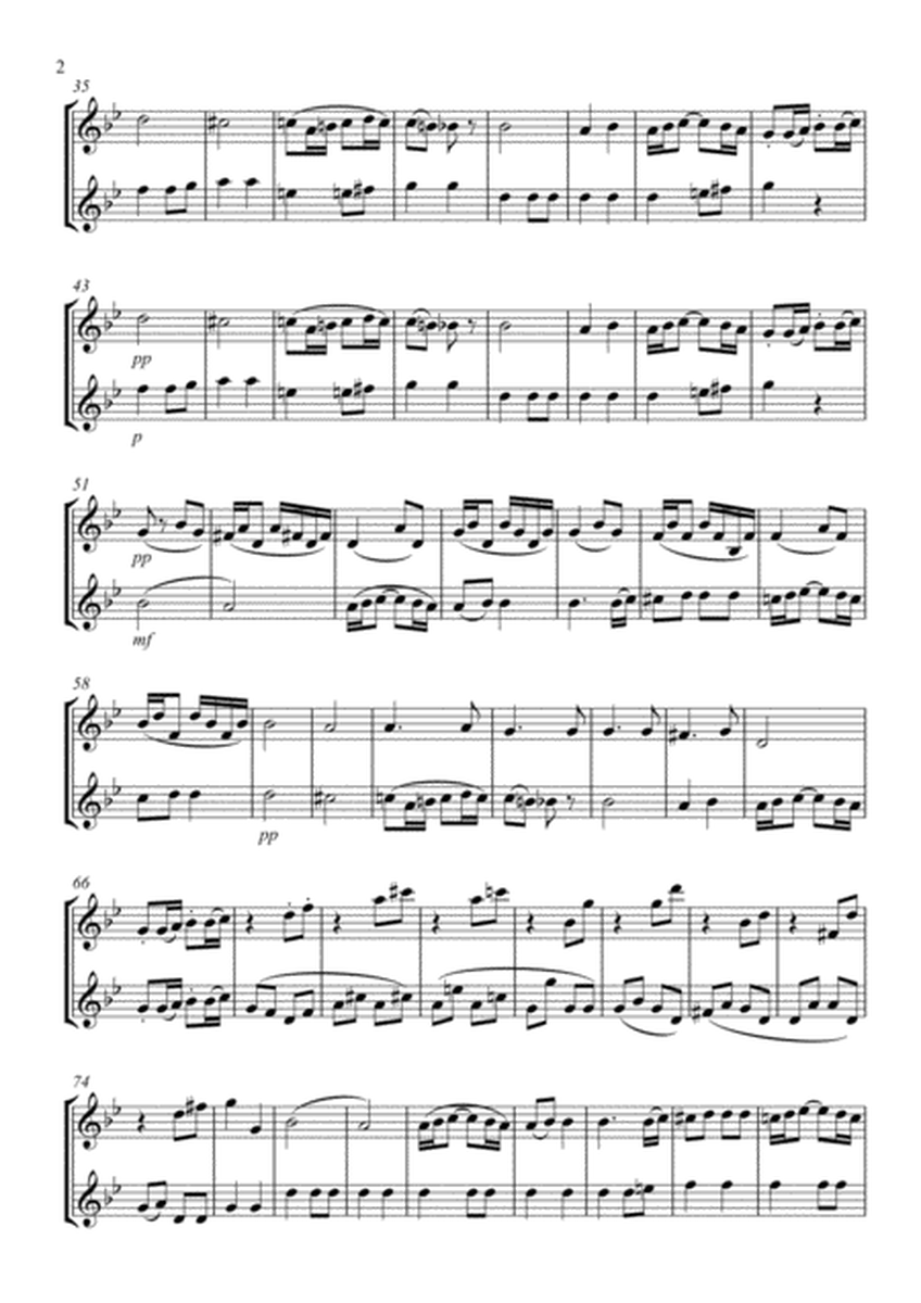 Beethoven 7th Symphony - Flute Duet