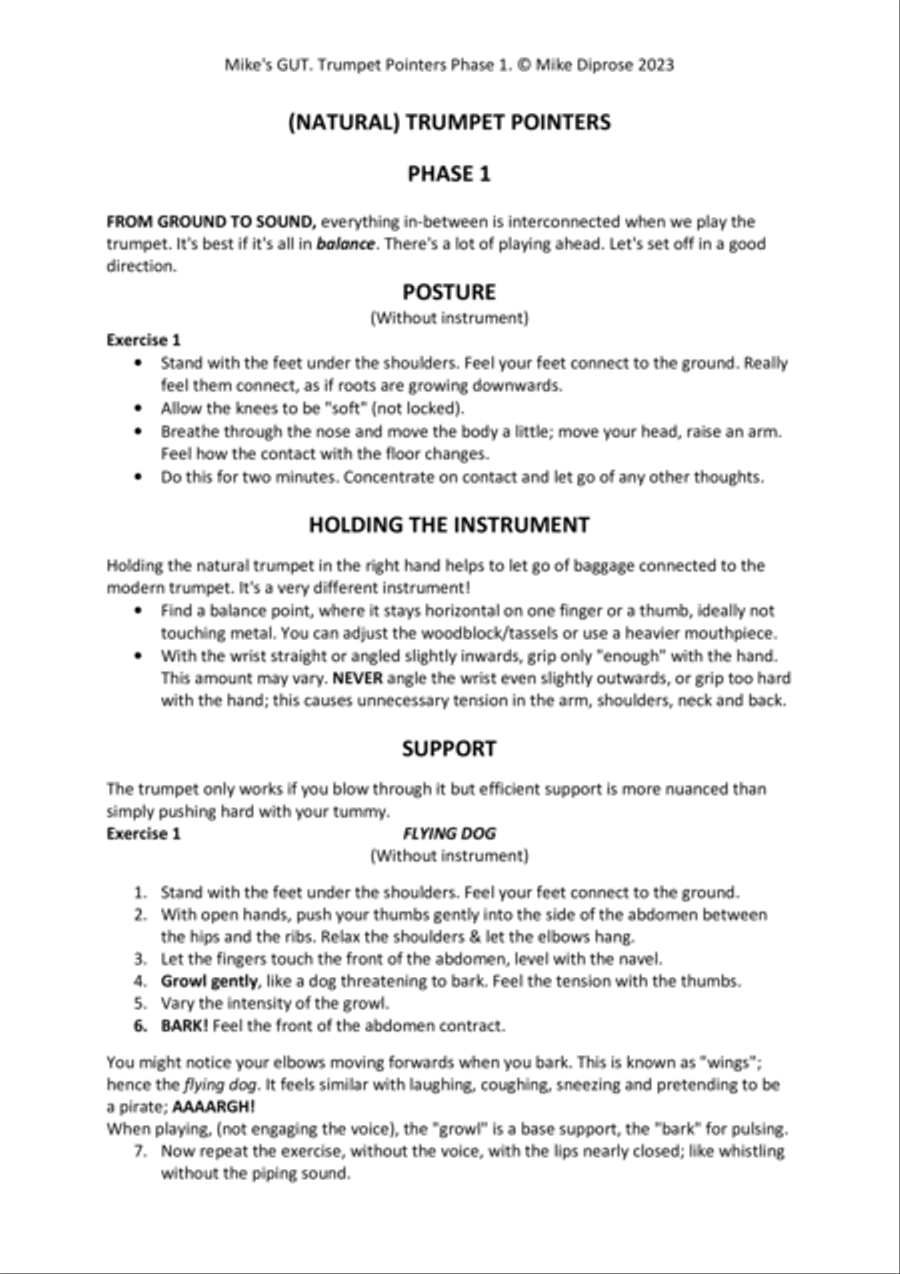 Natural Trumpet Pointers Trumpet Solo scores gallery preview page 5