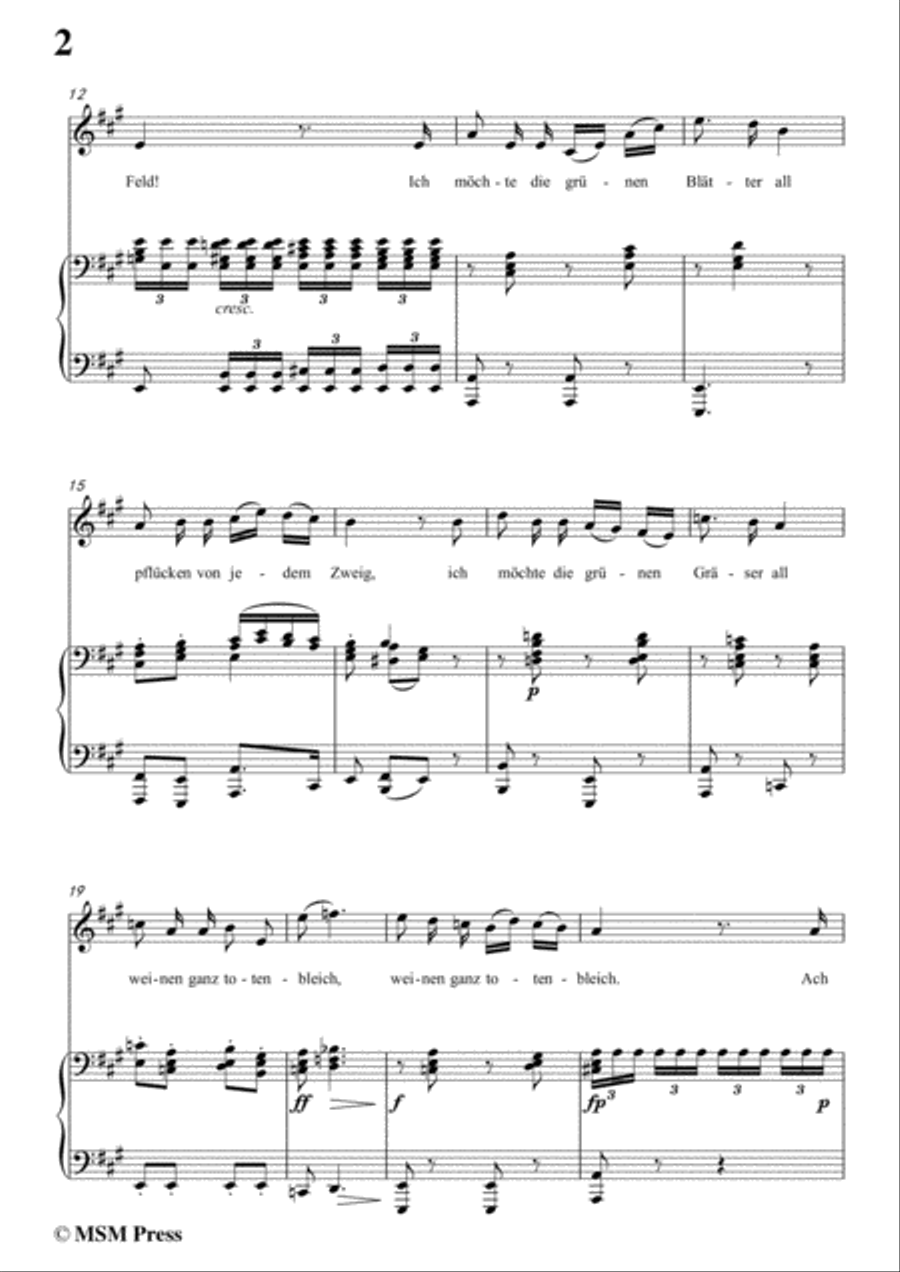 Schubert-Die böse Farbe,from 'Die Schöne Müllerin',Op.25 No.17,in A Major,for Voice&Piano Voice scores gallery preview page 4