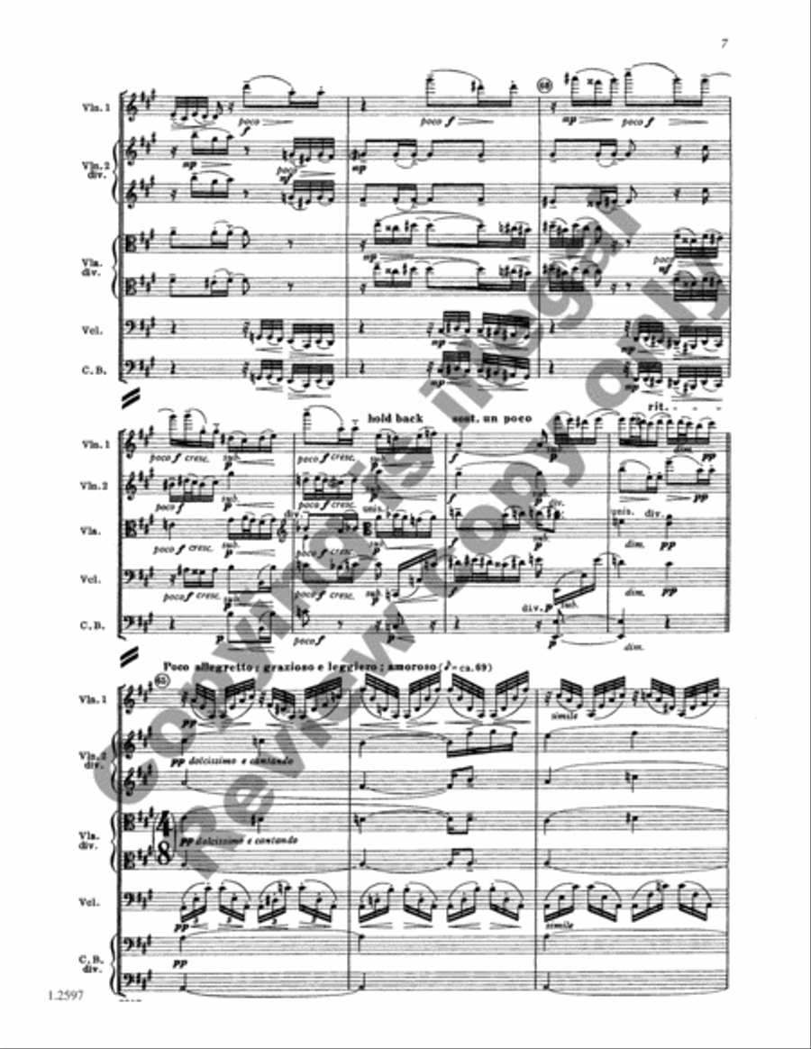 Transcendental Variations String Orchestra scores gallery preview page 8