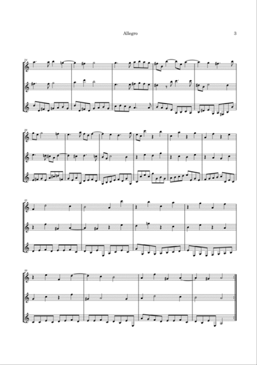 Corelli's Christmas Concerto (Op 6 No 8) arranged for 3 guitars (or a large ensemble) Large Ensemble scores gallery preview page 6